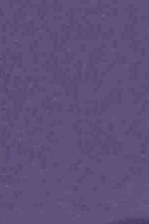 Yalitza Aparicio attends The Hollywood Reporter 2019 Oscar Nominee Party at CUT on February 04, 2019 in Beverly Hills, California. Photo by Amy Sussman/Getty Images