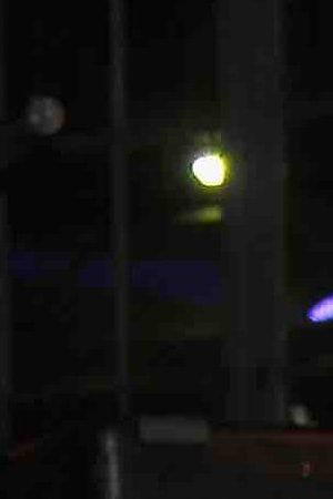 Musicians Alejandro Aranda, Twin Shadow and Wynne Bennett attend the 2019 Live Arts Gala at The Caldwell Factory on March 25, 2019 in New York City. Photo by Nicholas Hunt/Getty Images