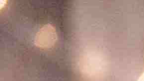 Democratic presidential candidate Sen. Bernie Sanders (I-VT) speaks during a town hall at the Fort Museum on May 4, 2019 in Fort Dodge, Iowa. Sanders has been campaigning in the state of Iowa for the past several days. Photo by Stephen Maturen/Getty Images