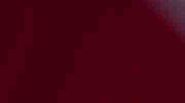 New York City Mayor Bill de Blasio stands for the Pledge of Allegiance during a dedication ceremony for the new Statue of Liberty Museum, May 16, 2019 on Liberty Island in New York City. De Blasio announced on Thursday morning that he is launching a campaign for the presidency. (Photo by Drew Angerer/Getty Images)