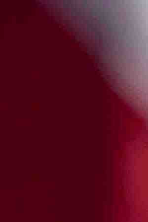 New York City Mayor Bill de Blasio stands for the Pledge of Allegiance during a dedication ceremony for the new Statue of Liberty Museum, May 16, 2019 on Liberty Island in New York City. De Blasio announced on Thursday morning that he is launching a campaign for the presidency. (Photo by Drew Angerer/Getty Images)