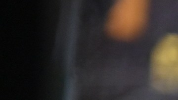 Photo by Theo Wargo/Getty Images