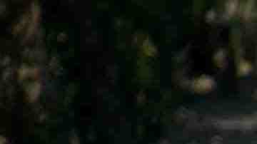 Photo by Sean_Warren / iStock / Getty Images Plus