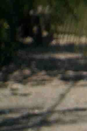 Photo by Sean_Warren / iStock / Getty Images Plus