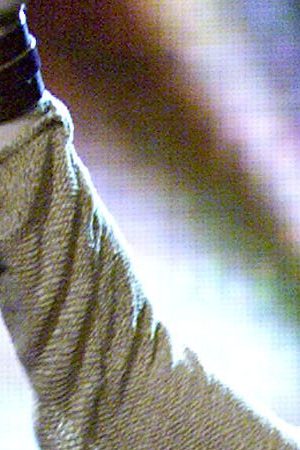 Photo by Kevin Winter/Getty Images.