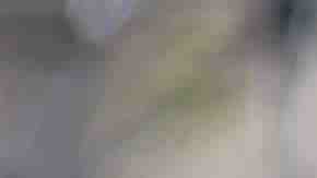 Photo by KathyDewar / iStock Unreleased