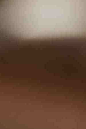 Photo by bhofack2 / iStock / Getty Images Plus