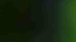 Photo by Chatiyanon / iStock / Getty Images Plus