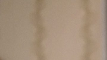 Photo: Kevin Estrada/The CW © 2019 The CW Network, LLC. All Rights Reserved.