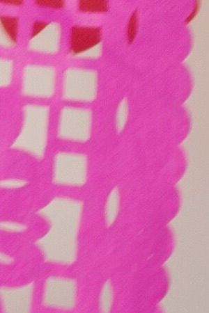 Photo Courtesy Lila Downs