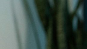 Photo by Alfonso Bresciani. Courtesy of USA Network