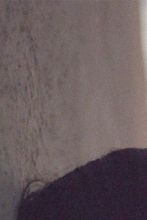 Courtesy of Oscilloscope Laboratories.