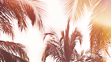 Photo by: Bina Fonda, Courtesy Aleix Martinez PR