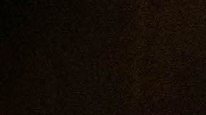 Photo Courtesy Artistry & Records