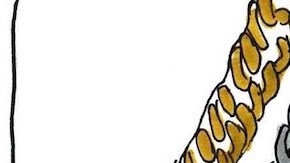 Courtesy Amada Echeverria