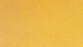 "Go Loko" video still. Youtube.