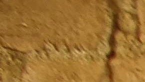 Afro-Mexican musician Isaías Martinez Trani in his hometown in la Costa Chica de Oaxaca. He has lived in Mexico City for the past six years. Photo by Ebony Bailey for Remezcla