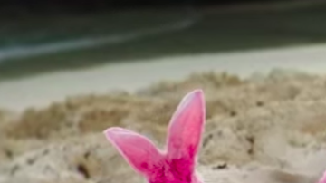 Youtube screenshot