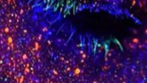 Collage by Alan López for Remezcla