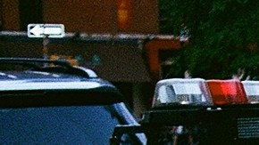 Photo by Megan Walschlager