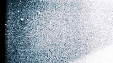 Courtesy of Hola Mexico Film Festival