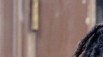 PhotoCredit: Shaun Smith Courtesy the artist