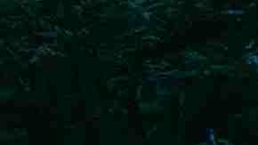 Photo by Louis. Courtesy of Florentino