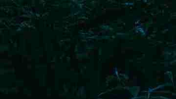 Photo by Louis. Courtesy of Florentino