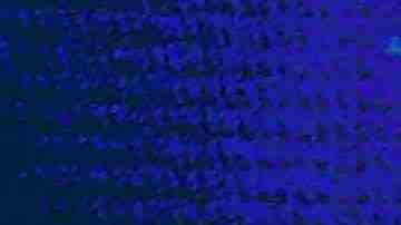 Former Texas congressman Beto O'Rourke speaks as Sen. Cory Booker and Sen. Elizabeth Warren during the first night of the Democratic presidential debate on June 26, 2019 in Miami, Florida.  Photo by Joe Raedle/Getty Images