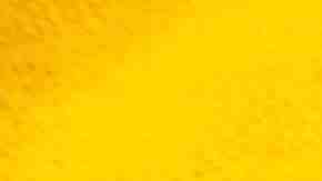 Photo by ivanastar / iStock / Getty Images Plus