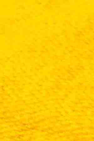 Photo by ivanastar / iStock / Getty Images Plus