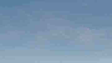 Photo by Rex_Wholster / iStock / Getty Images Plus