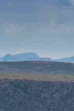 Photo by Rex_Wholster / iStock / Getty Images Plus