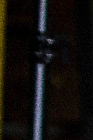 Photo by: Ross Harris Courtesy the artist