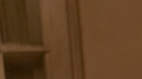 Lil Papi and Angel in Pose