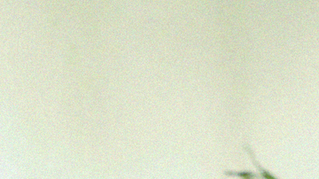 Photo Courtesy: Imagine It Media