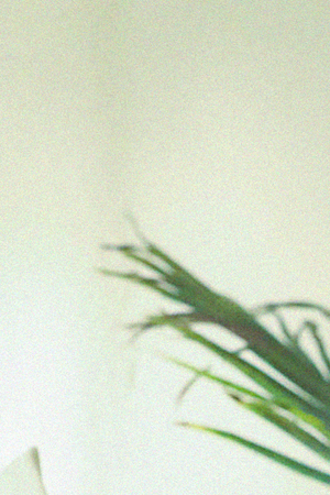 Photo Courtesy: Imagine It Media