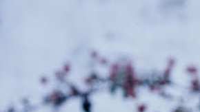 Photo courtesy the artist