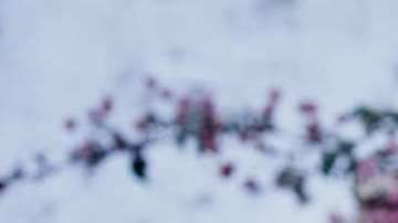 Photo courtesy the artist