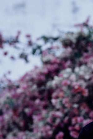 Photo courtesy the artist