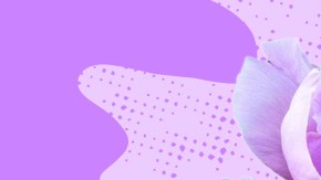 Art by Alan López for Remezcla