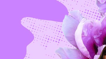 Art by Alan López for Remezcla