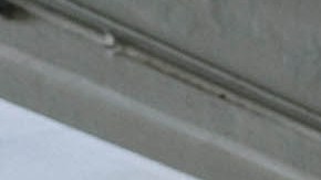 Photo Courtesy the artist