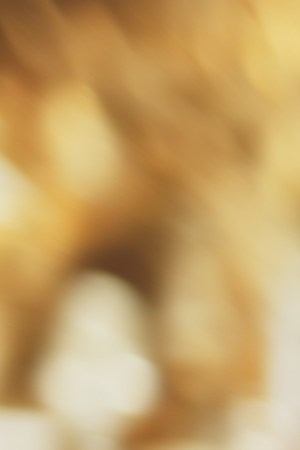 Photo courtesy of the artist