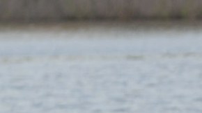 Photo courtesy of NYLFF