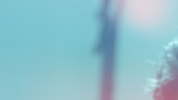 Photo by @eldobledoble_mk2