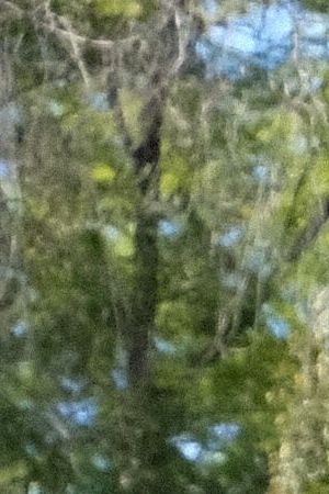 Gigi Saul Guerrero directing 'Culture Shock' Courtesy of the filmmaker