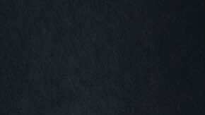 Photo courtesy Del Records