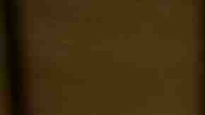 Photo by Marcos Calvo / iStock / Getty Images Plus