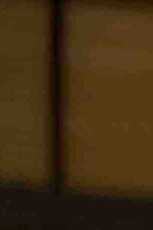 Photo by Marcos Calvo / iStock / Getty Images Plus